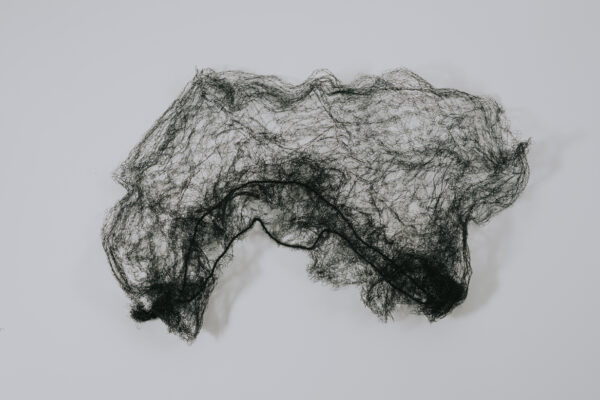 HAIR NET