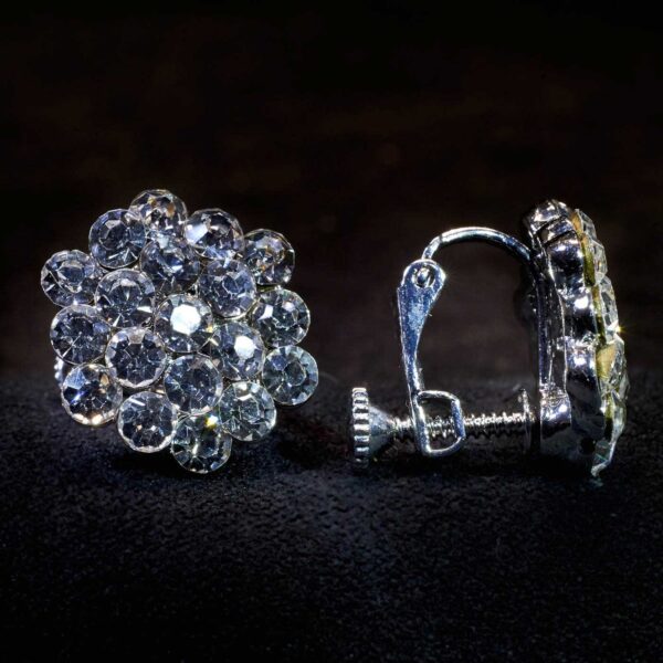 cyrstal cluster earrings